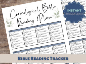 The Bible Recap Reading Plan Etsy