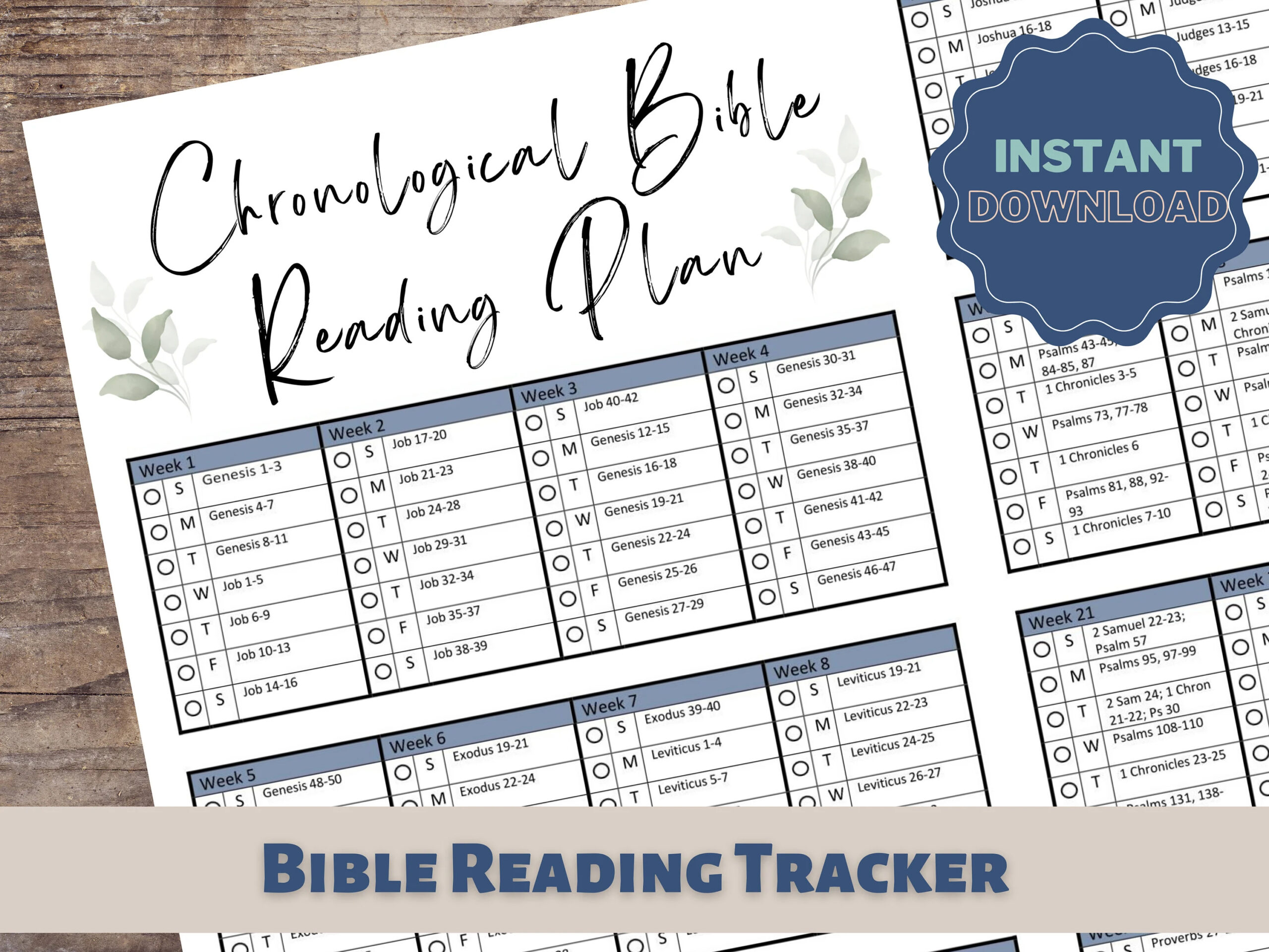 The Bible Recap Reading Plan Etsy