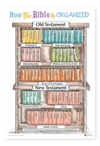 The Catholic Youth Bible Poster Set Saint Mary s Press