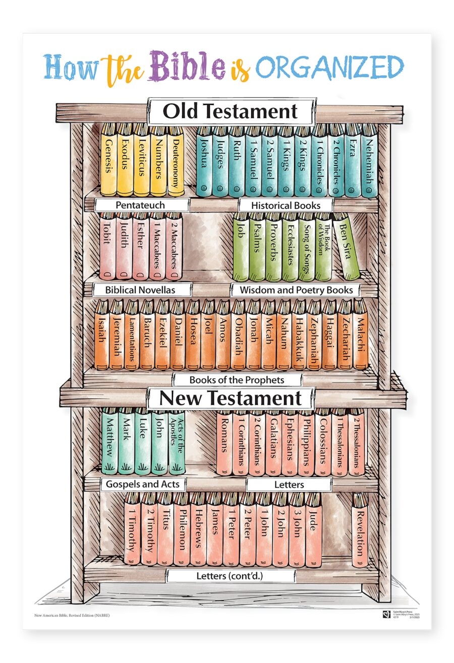 The Catholic Youth Bible Poster Set Saint Mary s Press