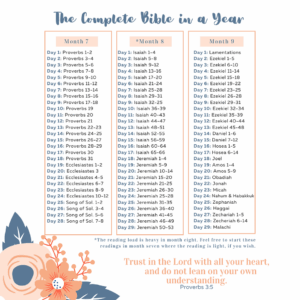 The Complete Bible In A Year Plan Lamp U0026 Light Living