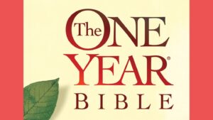 the one year bible