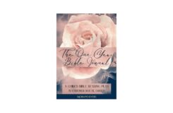 The One Year Bible Journal A Guided Bible Reading Plan In Chronological Order With Space To Write Scripture Notes Prayers And Gratitude Pink Rose Evers Morayo Amazon Books