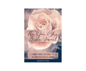 The One Year Bible Journal A Guided Bible Reading Plan In Chronological Order With Space To Write Scripture Notes Prayers And Gratitude Pink Rose Evers Morayo Amazon Books