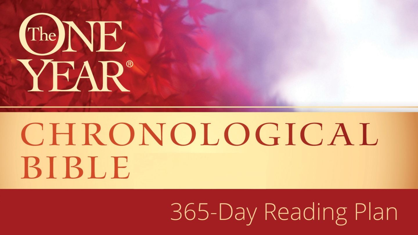 the one year chronological bible