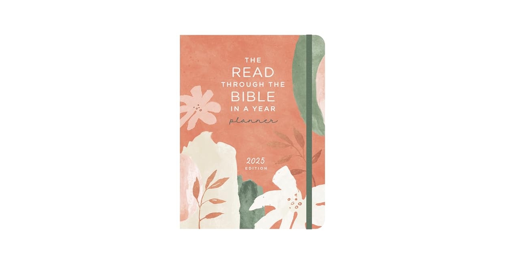 Read the Bible in a Year 2025 Printable