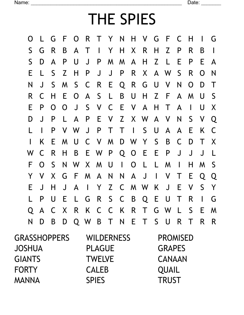 THE SPIES Word Search WordMint