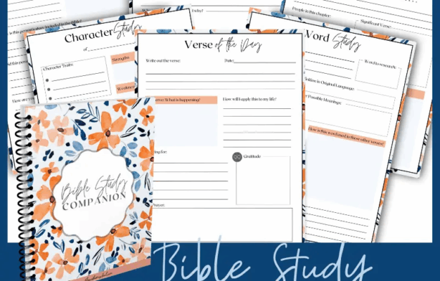 The Ultimate Bible Study Planner Bible Study Companion