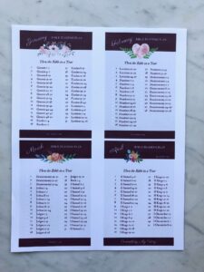 Through The Bible In A Year Reading Plan Printable PDF