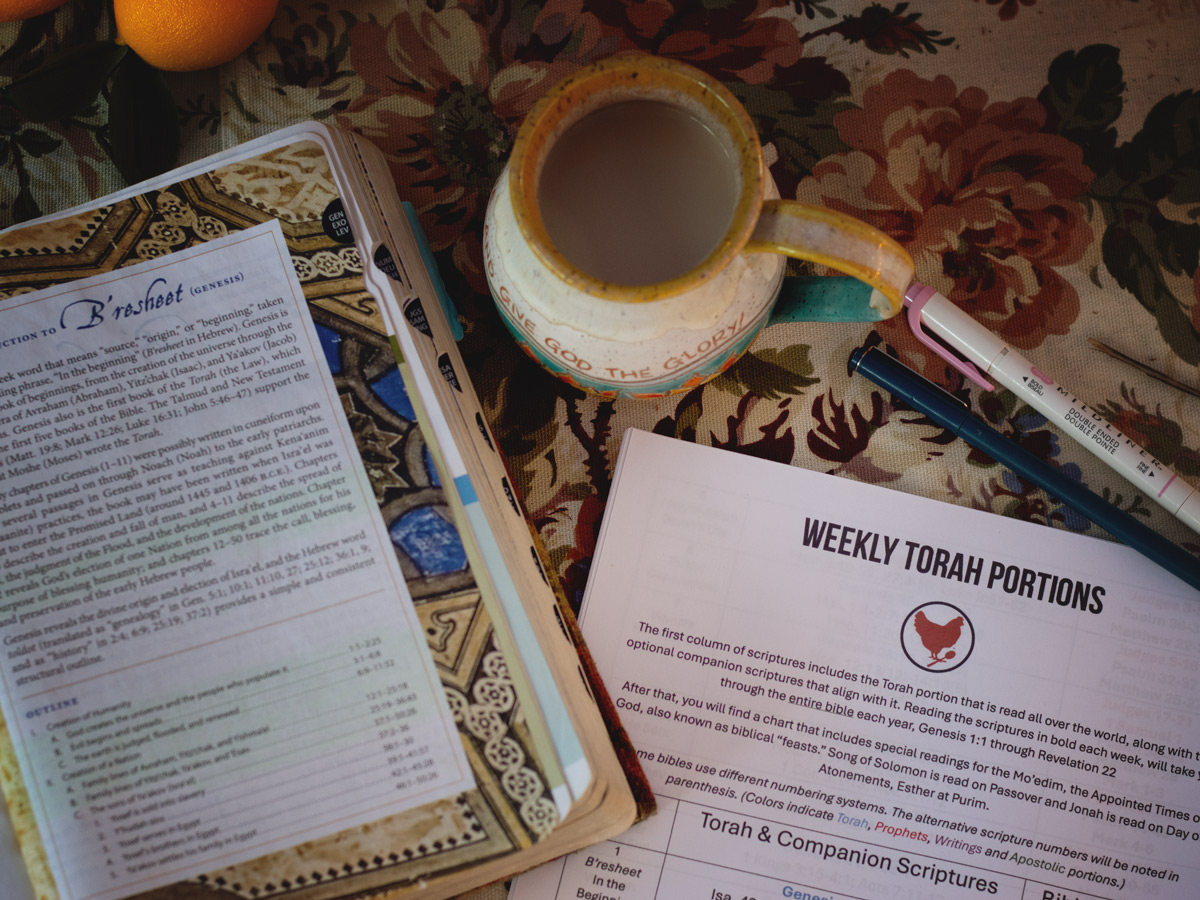 Read through the Bible in a Year Printable
