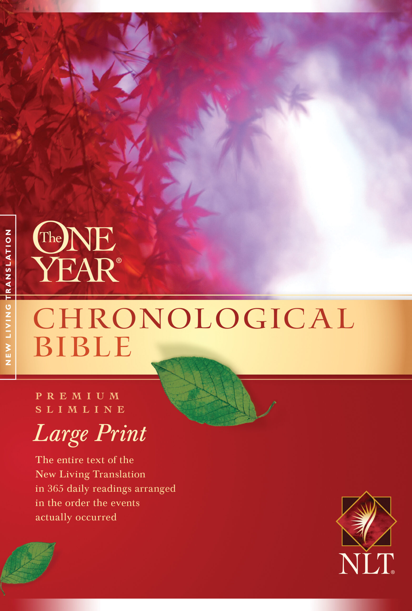 Bible Chronological Order Printable