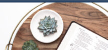 Why You Should Throw Out That Bible In A Year Reading Plan Anchored Women