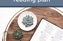 Why You Should Throw Out That Bible In A Year Reading Plan Anchored Women