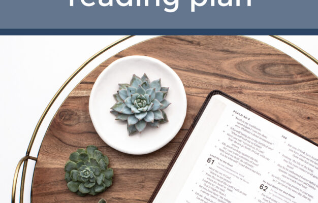 Why You Should Throw Out That Bible In A Year Reading Plan Anchored Women