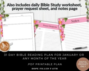 Wisdom Bible Reading Plan For Beginners With Free Printable