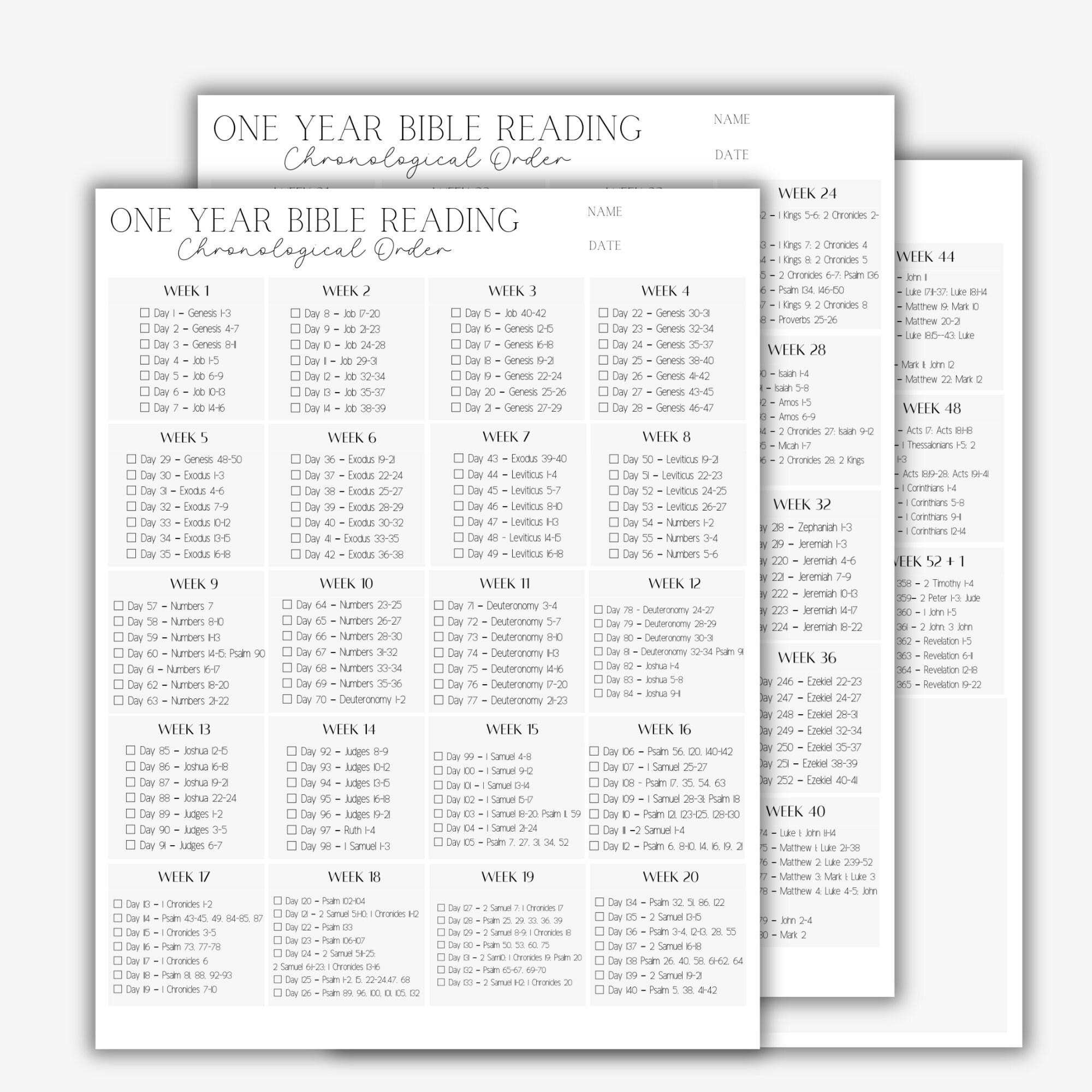 Year In The Bible Women Bible Reading A 52 Week Study The Bible In A Year Beautiful Spiral Spiral Bible With Note Taking Space Study Bible
