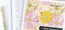 Year In The Bible Women Oldmens Spiral Bible For Women A Beautiful Year In Bible Study Guide