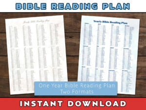 Yearly Bible Reading Plan Read The Bible In A Year