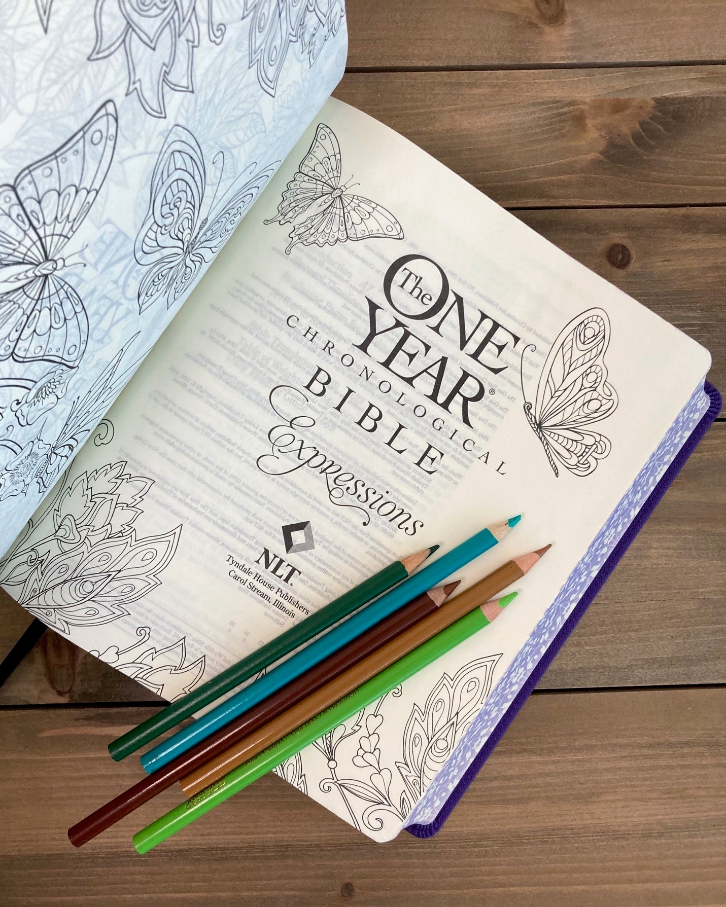 You Can Do It Read Through The Bible In A Year Tyndale Bibles