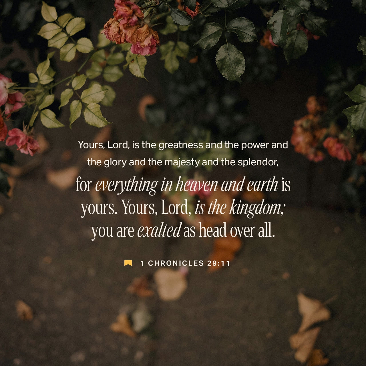 Bible Quotes About Greatness