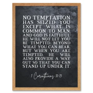 1 Corinthians 10 13 He Will Not Let You Be Tempted Christian Bible Verse Quote Scripture Typography Art Print Framed Poster Wall Decor 12x16 Inch Walmart
