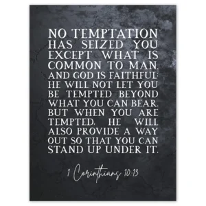 1 Corinthians 10 13 He Will Not Let You Be Tempted Christian Bible Verse Quote Scripture Typography Unframed Wall Art Print Poster Home Decor Premium Walmart