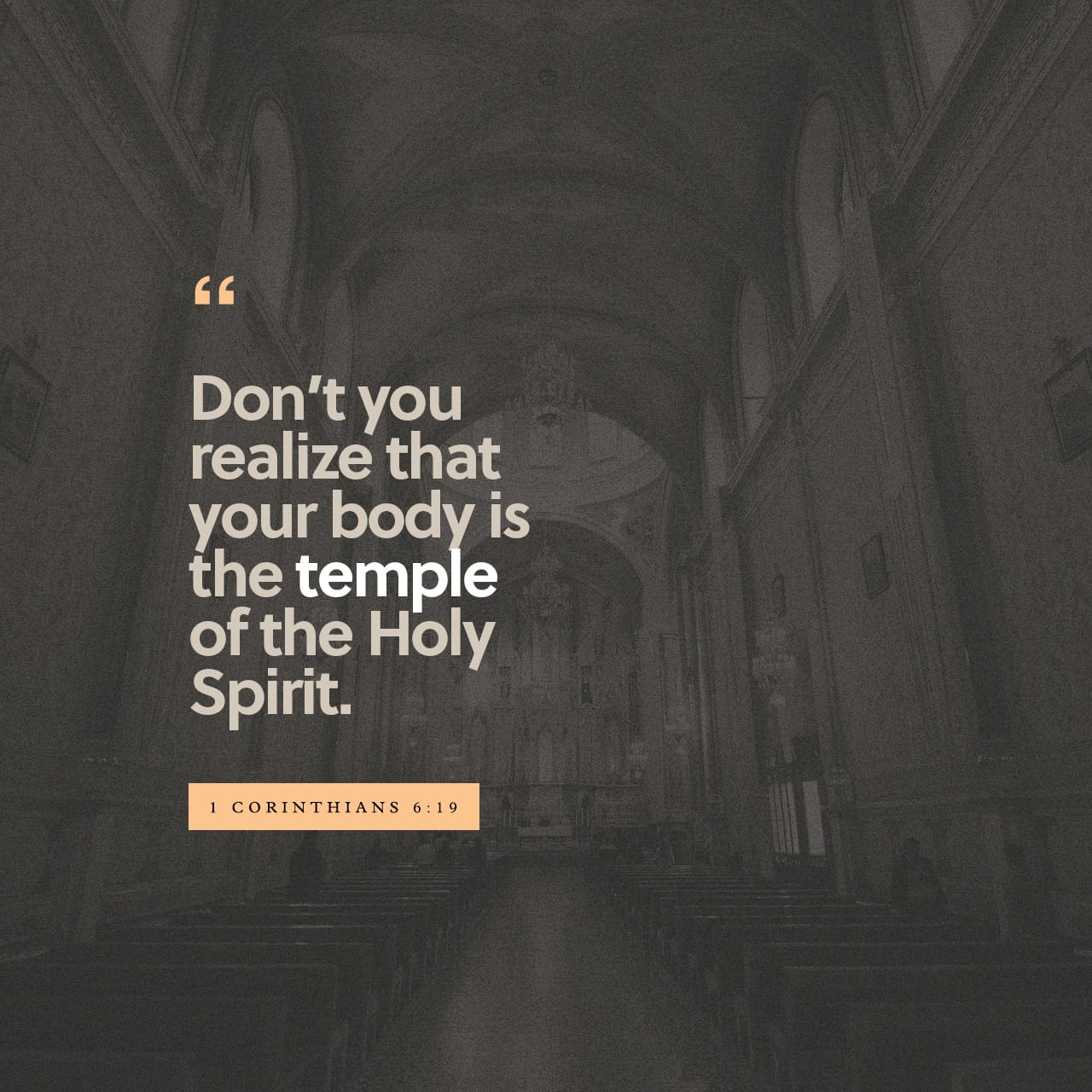 1 Corinthians 6 19 20 NIV Do You Not Know That Your Bodies Ar YouVersion
