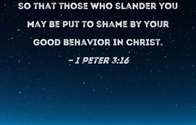 1 Peter 3 16 Keeping A Clear Conscience So That Those Who Slander You May Be Put To Shame By Your Good Behavior In Christ