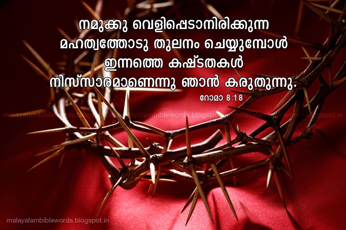 10 Bible Quotes Malayalam Ideas Bible Quotes Malayalam Bible Quotes Bible