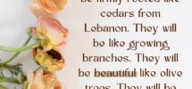 10 Bible Verses About Flowers And A Devotional Gathered Again