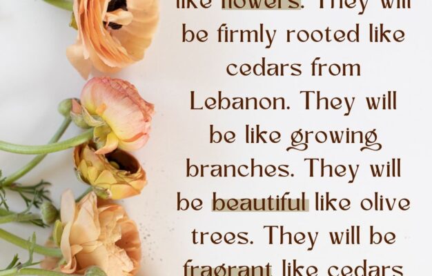 10 Bible Verses About Flowers And A Devotional Gathered Again