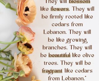 10 Bible Verses About Flowers And A Devotional Gathered Again
