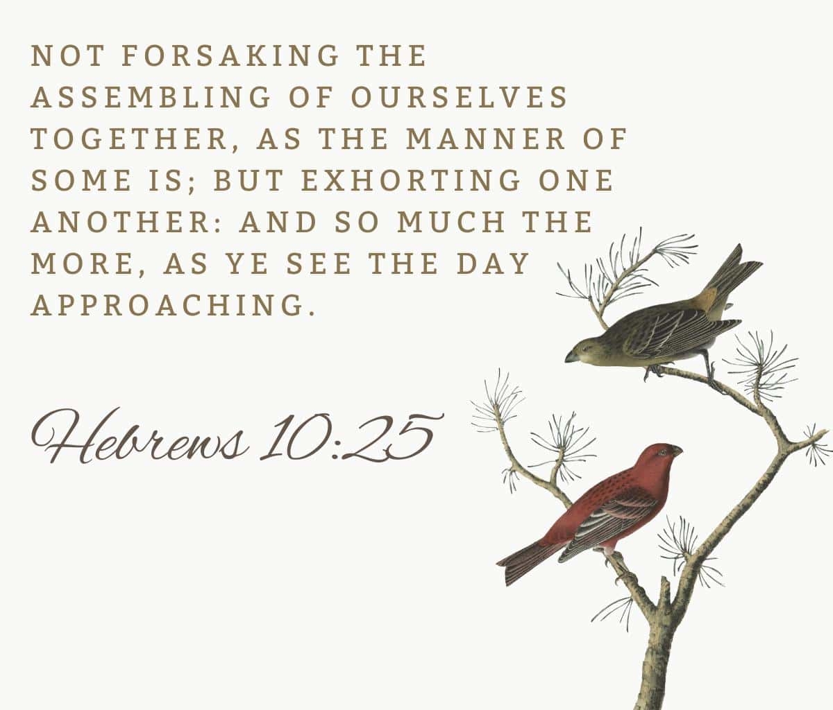 10 Bible Verses About Going To Church The Lobo Life