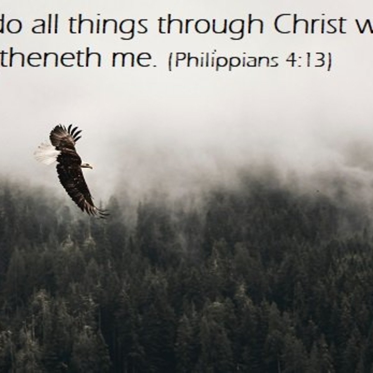 10 Bible Verses About Strength In Hard Times LetterPile