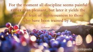 10 Bible Verses For Weight Loss