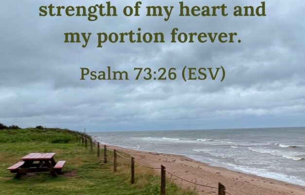 10 Encouraging Bible Verses For Those Facing Chronic Pain Joyful Moments In Christ