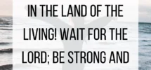 10 Uplifting Bible Verses For Those With Cancer Chasing Vibrance