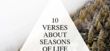 10 Verses About The Seasons Of Life Walk In Love