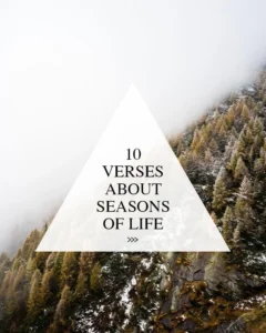 10 Verses About The Seasons Of Life Walk In Love