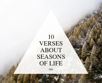10 Verses About The Seasons Of Life Walk In Love