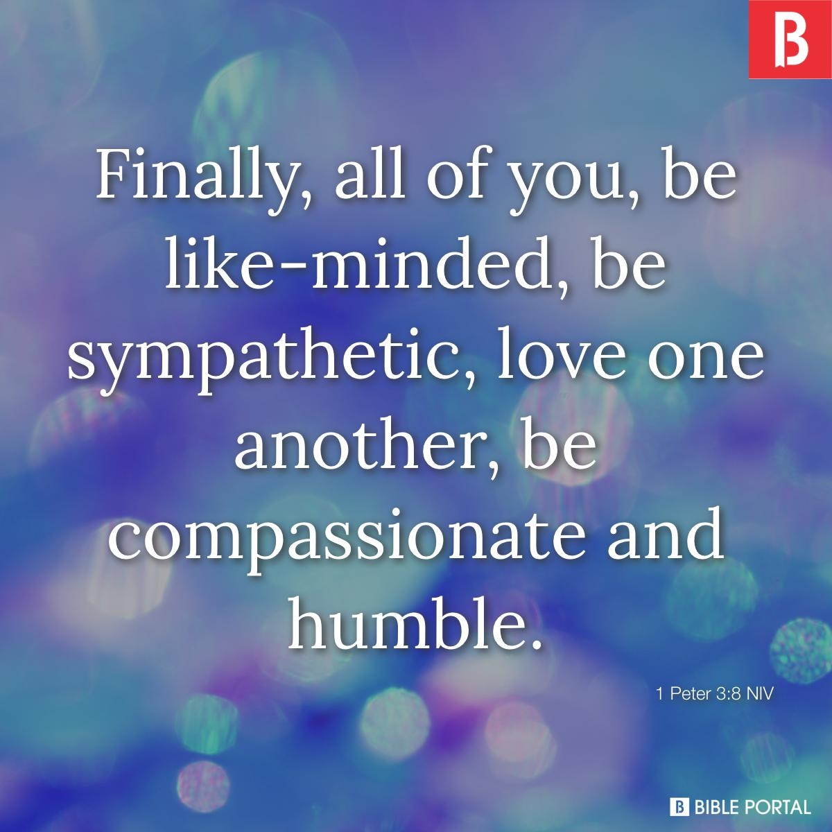 Bible Quotes About Empathy