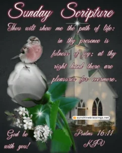 100 Sunday Blessings For 2025 Inspiring Pics Quotes