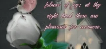 100 Sunday Blessings For 2025 Inspiring Pics Quotes