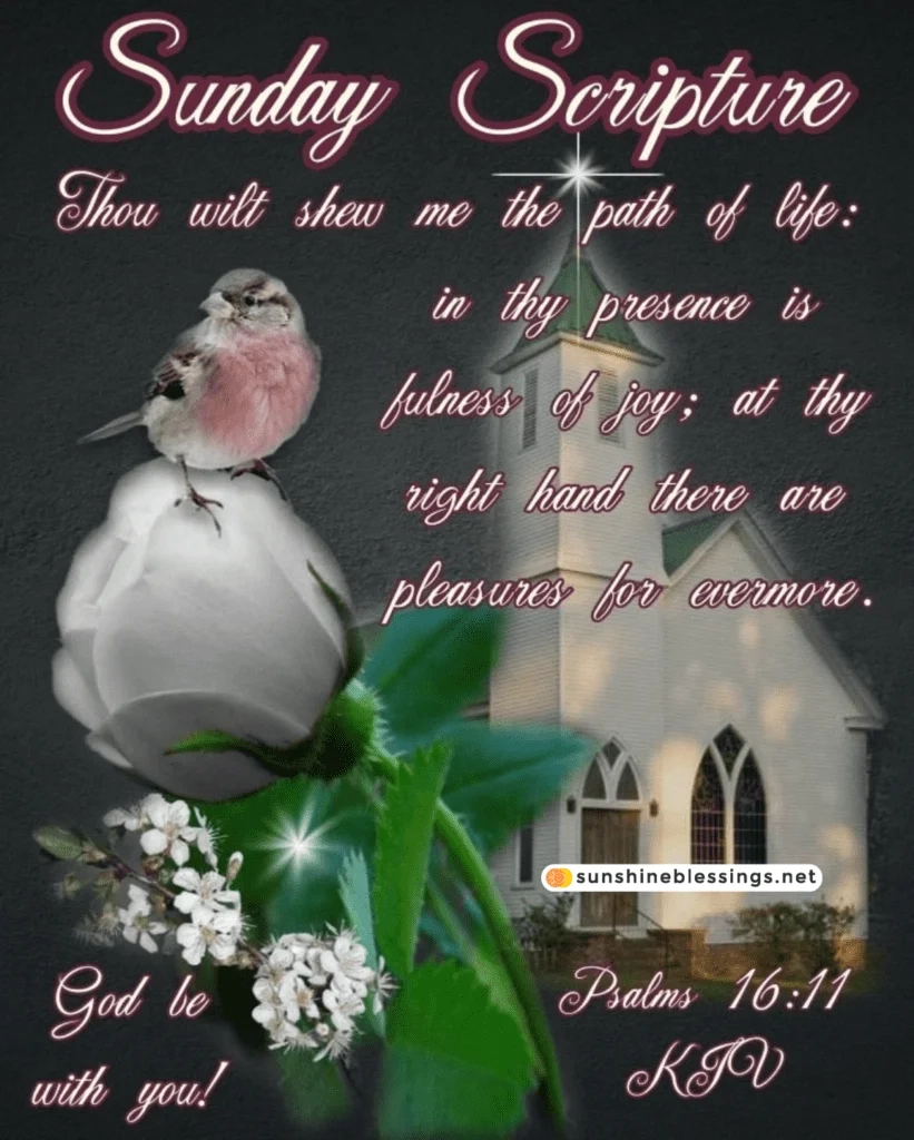 100 Sunday Blessings For 2025 Inspiring Pics Quotes