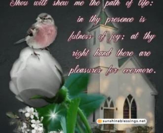 100 Sunday Blessings For 2025 Inspiring Pics Quotes