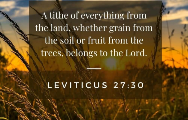 108 Powerful Scriptures On Giving To Share During Offering Time