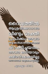 11 Bible Quotes Malayalam Ideas Bible Quotes Malayalam Bible Quotes Bible Words