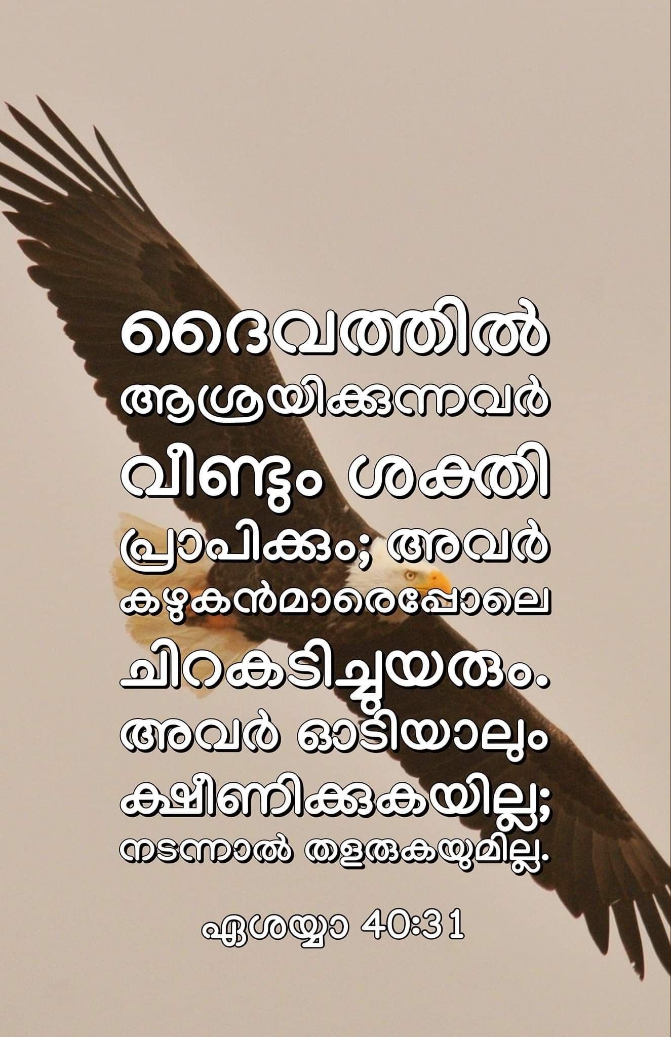 11 Bible Quotes Malayalam Ideas Bible Quotes Malayalam Bible Quotes Bible Words
