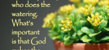 11 Garden Verses Ideas Book Of Isaiah Bible Scriptures Verse Quotes