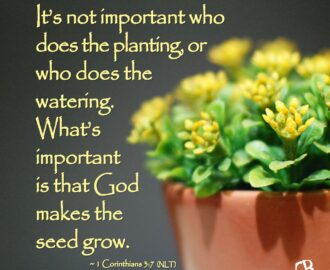 11 Garden Verses Ideas Book Of Isaiah Bible Scriptures Verse Quotes
